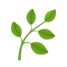 Feature Illustration Icon
