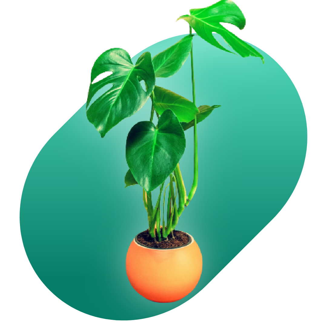 Working Illustration
