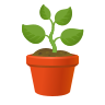 Feature Illustration Icon