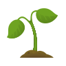 Feature Illustration Icon